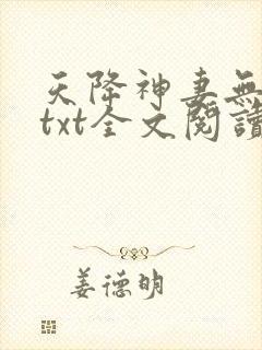 天降神妻无删减txt全文阅读下载封面