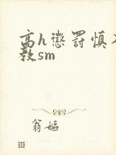 高h惩罚慎入调教sm
