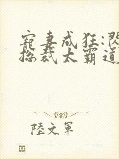 宠妻成狂:闪婚总裁太霸道