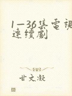 1—36集电视连续剧封面