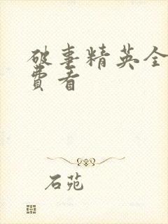 破事精英全集免费看