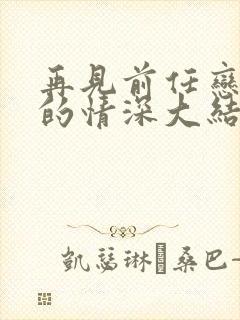 再见前任恋上他的情深大结局封面