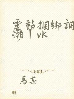 震动捆绑调教高潮丨vk