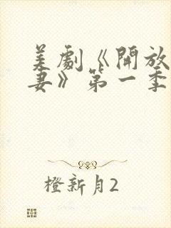 美剧《开放式夫妻》第一季免费看