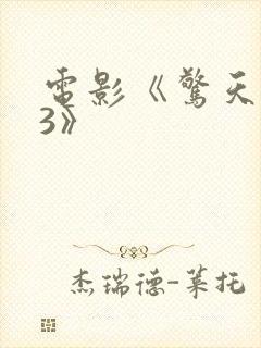 电影《惊天营救3》