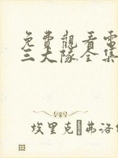 免费观看电视剧三大队全集