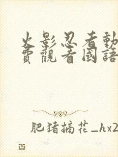 火影忍者动漫免费观看国语版