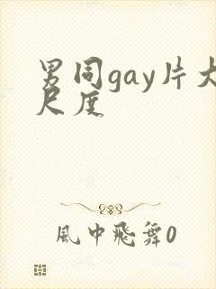 男同gay片大尺度