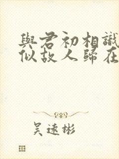 与君初相识·恰似故人归在线观看封面