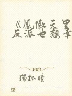 《凤傲天里黄毛反派也想幸福》小说