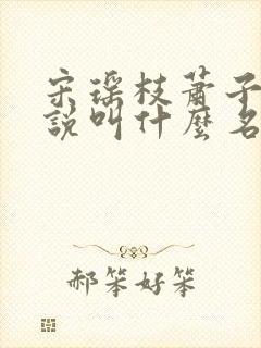 宋瑶枝萧子骞小说叫什么名字封面