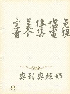 完美伴侣免费观看全集电视剧封面