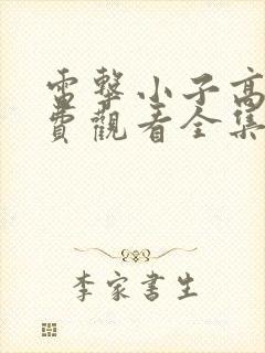 电击小子高清免费观看全集