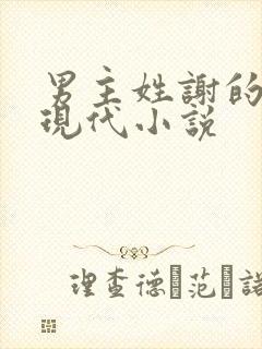 男主姓谢的总裁现代小说封面