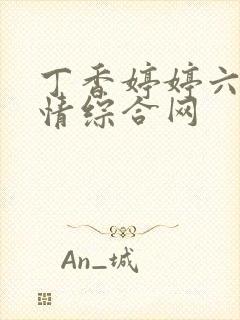 丁香婷婷六月激情综合网