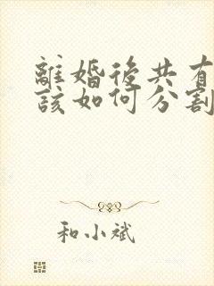 离婚后共有财产该如何分割