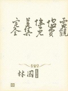 完美伴侣电视剧全集免费观看下载封面