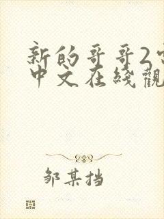 新的哥哥2电影中文在线观看
