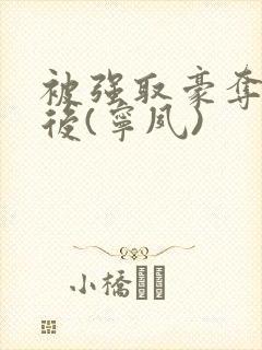 被强取豪夺多年后(宁夙)