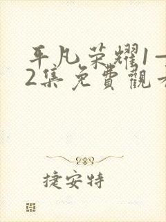 平凡荣耀1—42集免费观看封面