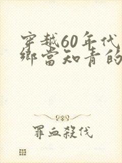 穿越60年代下乡当知青的小说