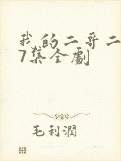我的二哥二嫂57集全剧