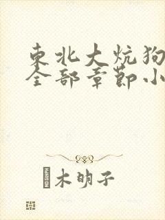 东北大炕狗儿娘全部章节小说