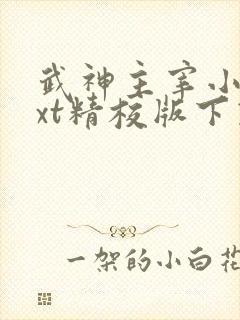 武神主宰小说txt精校版下载封面