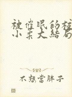 被催眠的校花高小柔大结局封面