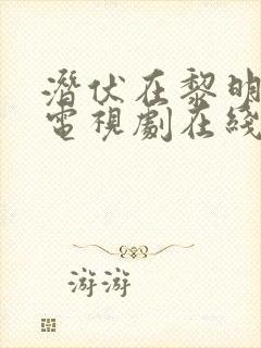 潜伏在黎明之前电视剧在线观看封面