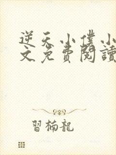 逆天小仆小说全文免费阅读