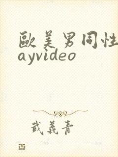 欧美男同性恋gayvideo