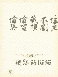偷偷藏不住40集电视剧免费观看完整版