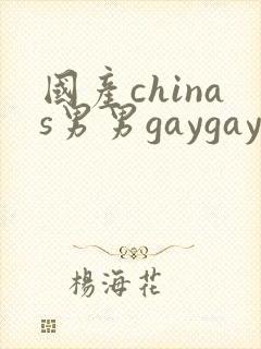 国产chinas男男gaygay封面