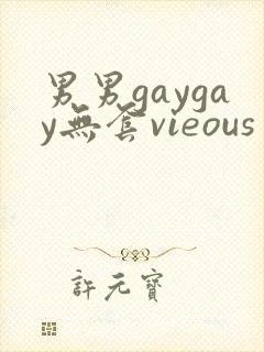 男男gaygay无套vieous