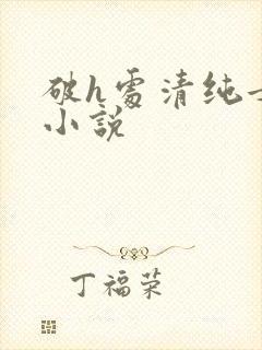 破h处清纯女大小说封面