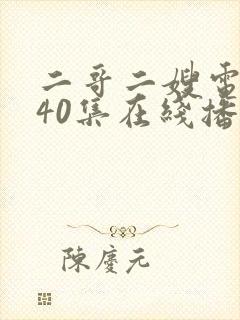 二哥二嫂电视剧40集在线播放