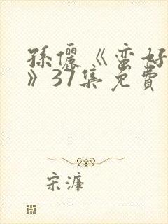 孙俪《蛮好人生》37集免费观看封面