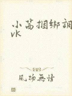 小茜捆绑调教丨vk