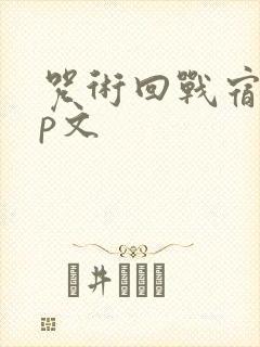 咒术回战宿虎cp文