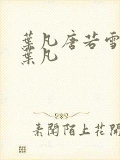 叶凡唐若雪王婿叶凡封面