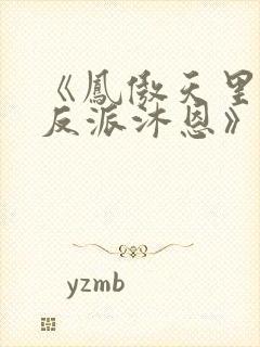 《凤傲天里黄毛反派沐恩》小说免费观看封面