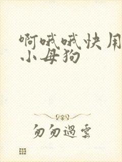 啊哦哦快用力操小母狗封面