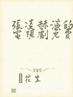 张凌赫演的爱你电视剧免费观看封面