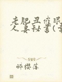 老肥丑催眠双性人妻秘书(常识改造