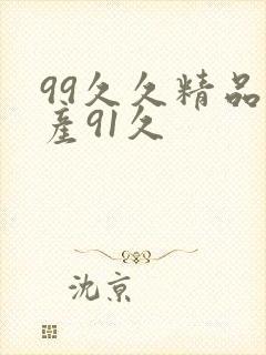 99久久精品国产91久