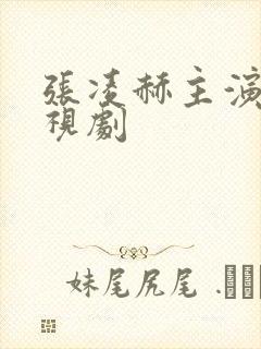 张凌赫主演的电视剧