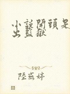 小说开头是女主出监狱