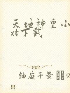 天地神皇小说txt下载