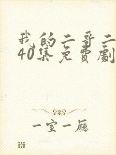 我的二哥二嫂全40集免费剧情介绍
